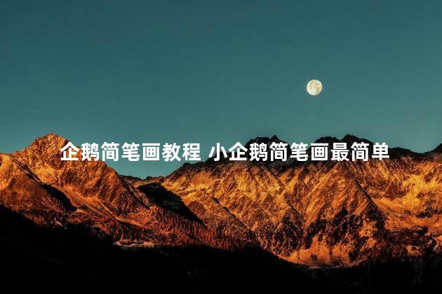 企鹅简笔画教程 小企鹅简笔画最简单